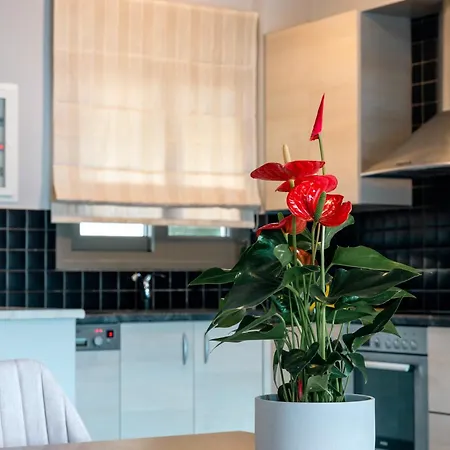 Malena * カラヴォミロス